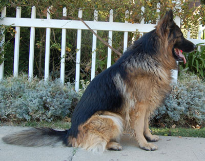 Gunner von Theis sitting